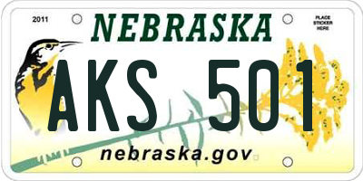 NE license plate AKS501