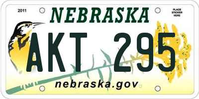 NE license plate AKT295