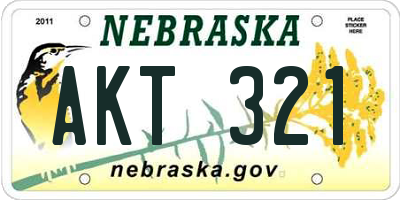NE license plate AKT321