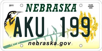 NE license plate AKU199