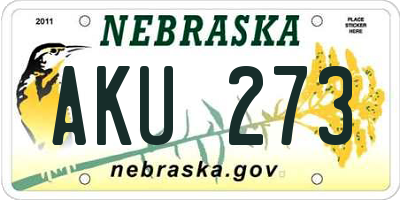 NE license plate AKU273