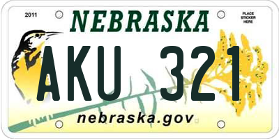 NE license plate AKU321