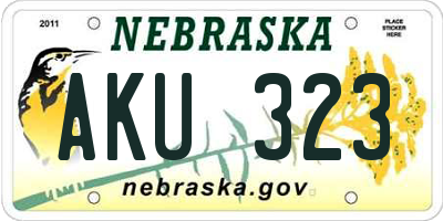 NE license plate AKU323