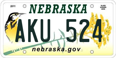 NE license plate AKU524