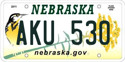 NE license plate AKU530