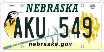 NE license plate AKU549