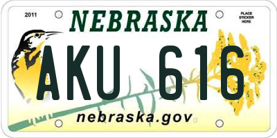 NE license plate AKU616