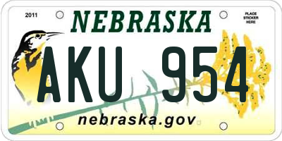 NE license plate AKU954