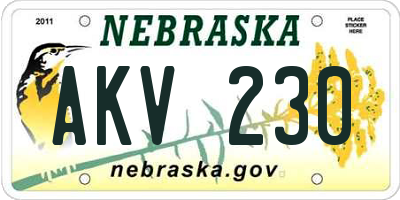 NE license plate AKV230