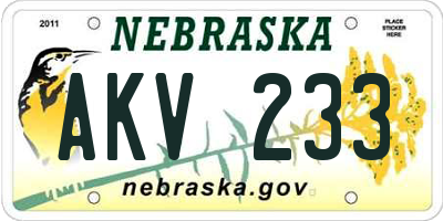 NE license plate AKV233