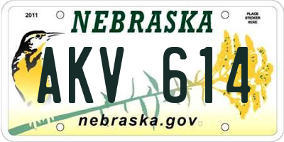 NE license plate AKV614