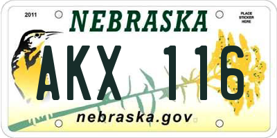NE license plate AKX116