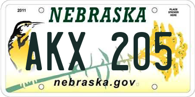 NE license plate AKX205