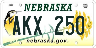 NE license plate AKX250