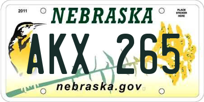 NE license plate AKX265