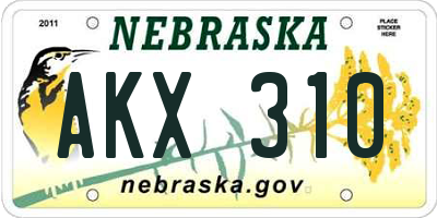 NE license plate AKX310