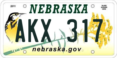 NE license plate AKX317