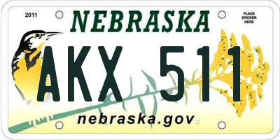 NE license plate AKX511