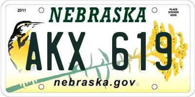 NE license plate AKX619