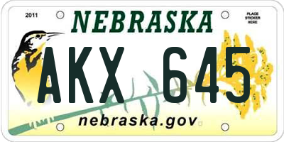 NE license plate AKX645