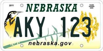 NE license plate AKY123