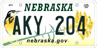 NE license plate AKY204