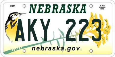 NE license plate AKY223