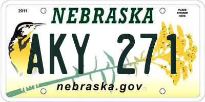 NE license plate AKY271