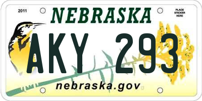 NE license plate AKY293