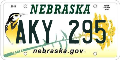 NE license plate AKY295