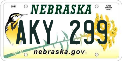 NE license plate AKY299