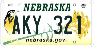 NE license plate AKY321
