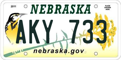 NE license plate AKY733