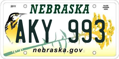 NE license plate AKY993