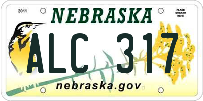 NE license plate ALC317
