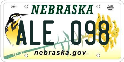 NE license plate ALE098