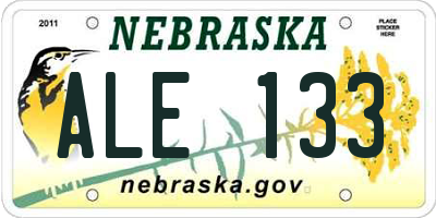 NE license plate ALE133