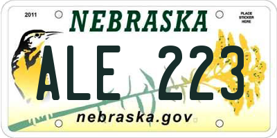 NE license plate ALE223