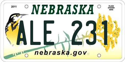NE license plate ALE231