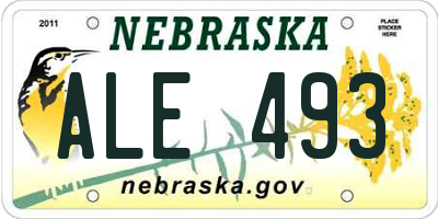 NE license plate ALE493