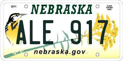 NE license plate ALE917