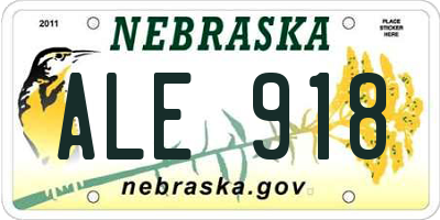 NE license plate ALE918