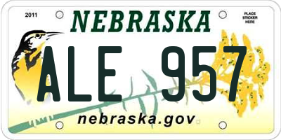 NE license plate ALE957