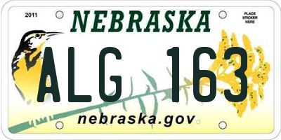 NE license plate ALG163