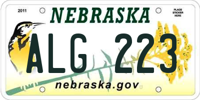 NE license plate ALG223