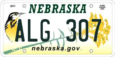 NE license plate ALG307