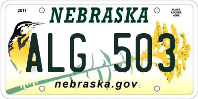NE license plate ALG503