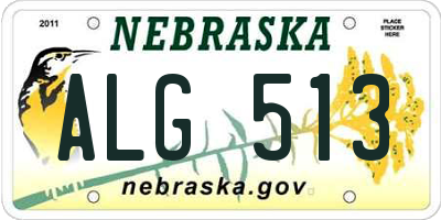NE license plate ALG513