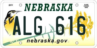 NE license plate ALG616