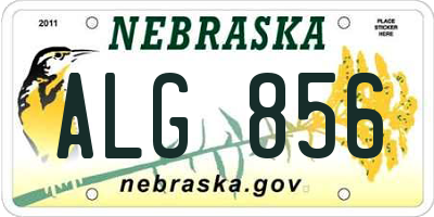 NE license plate ALG856